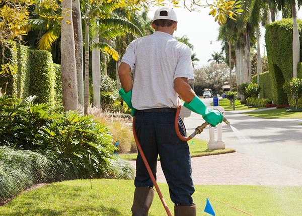 About Sheppton PA Pest Control